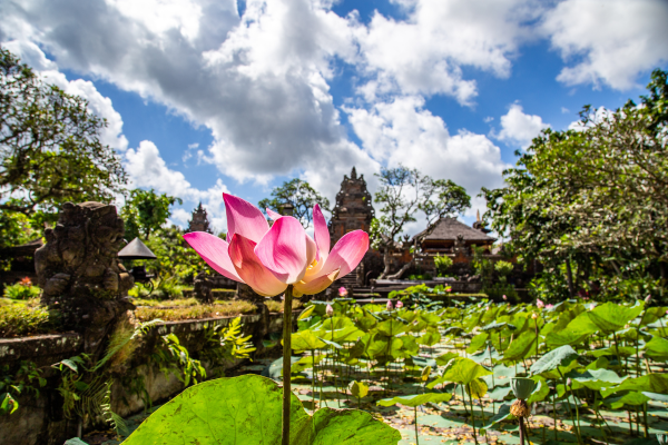 INDONESIE | 15j/12 - Circuit "Evasion Balinaise et Lombok Authentique 4*"