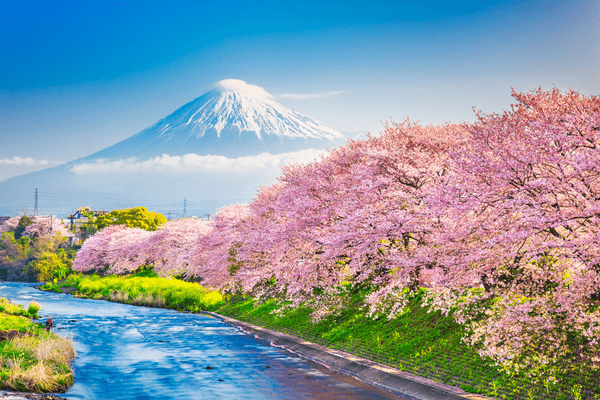 JAPON | 10 ou 11j/8n - Circuit "Symphonie Nipponne de Kyoto à Tokyo"